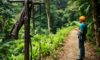 Canopy Tours: Explore Zip Lining in Belize’s Rainforest