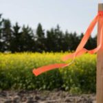 Subdivision Surveys for Clyde North Land Division: An Overview