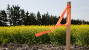 Subdivision Surveys for Clyde North Land Division: An Overview