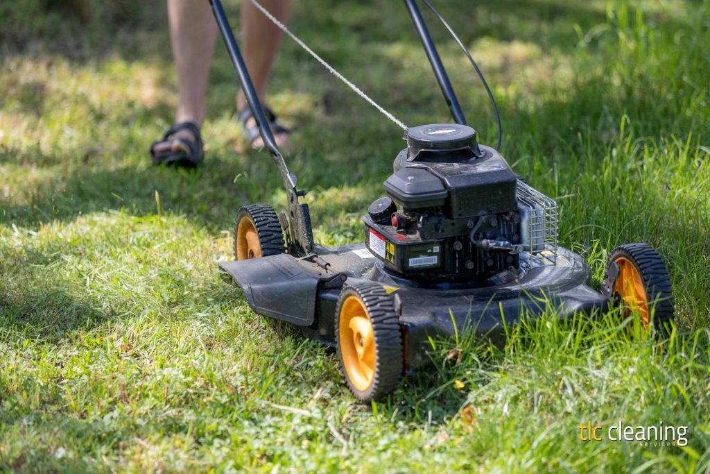 Grass Cutting Services in Montacute: Tips and Choices