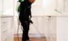 DIY Pest Control: Why Professional Solutions Surpass Store Sprays