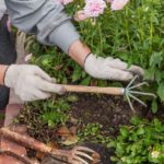 Weeding Services: Expert Tips and Providers in Queen Camel