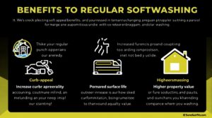 Expert Softwashing: Discover the Benefits of Housewash PA