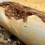 Pipe Relining: Effective Solutions for Tree Root Issues