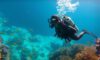 Diving Guide for Belize’s Big Blue Hole: Essential Tips