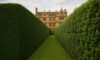 Hedge Trimming Techniques for Your Stoke-Sub-Hamdon Garden