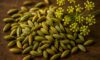 Fennel Seed Recipes for Savoury Italian and Indian Dishes