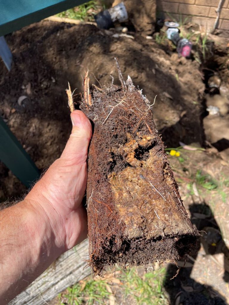 Clay Soil Threatens Caboolture Pipes: Key Insights Uncovered