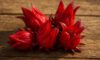 Hibiscus Flowers: Creative Tips for Cooking with Them