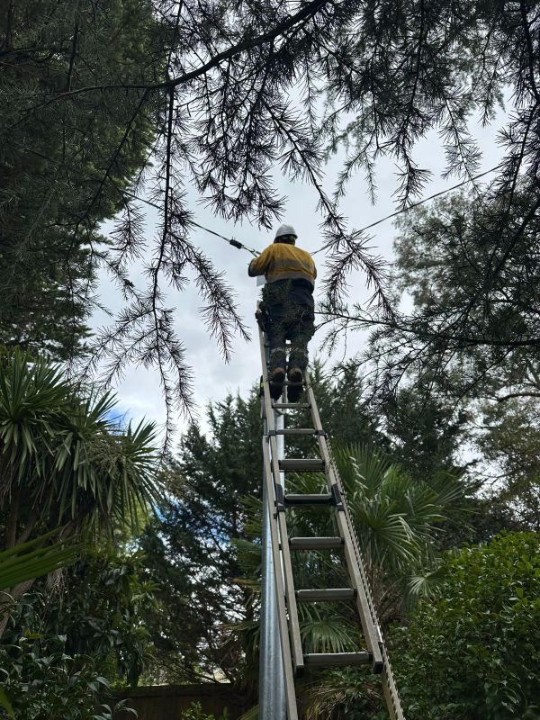 Mid North Coast Response to Electrical Defect Notice